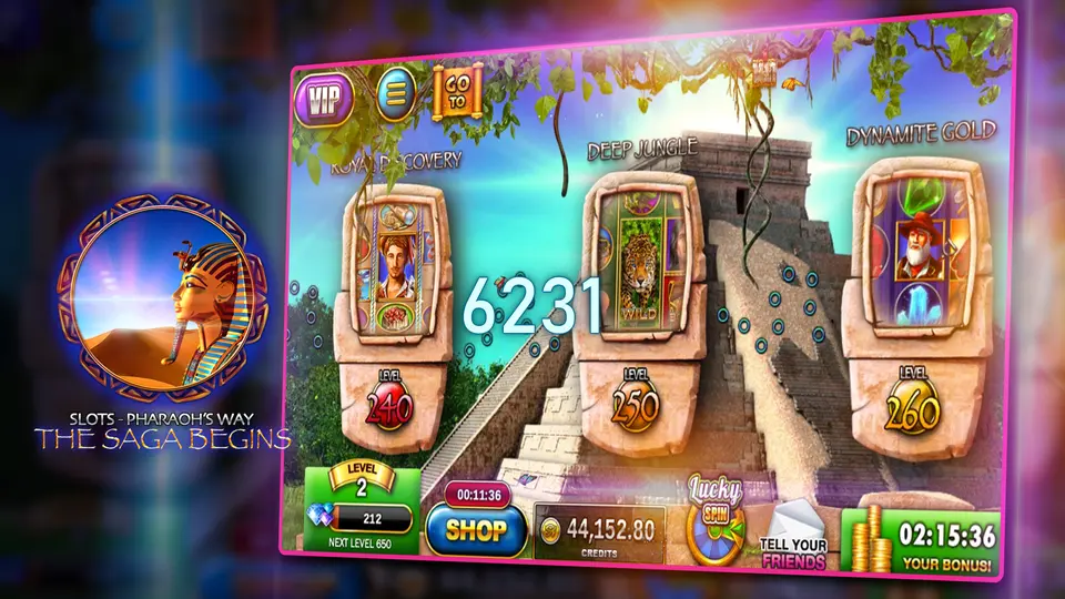6231 APK